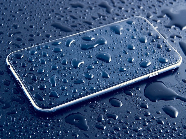 repair a water damaged phone