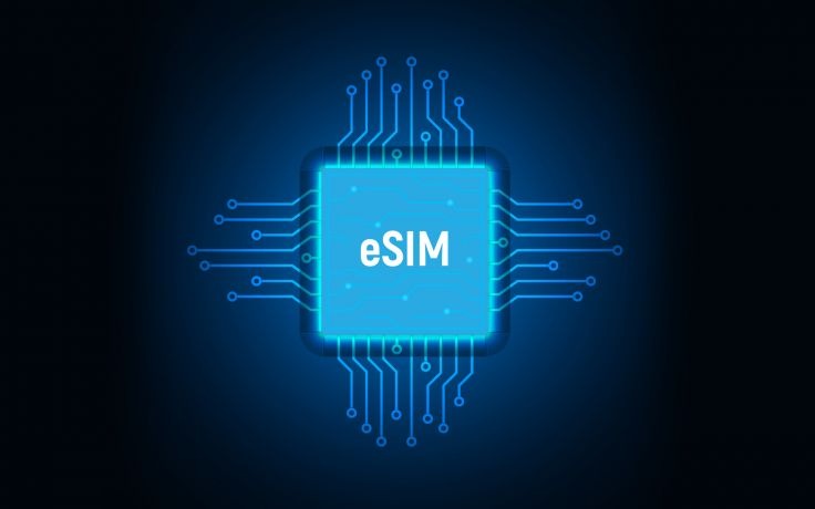 Design of the eSIM