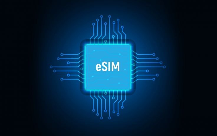 Design of the eSIM