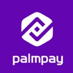 PalmPay loan