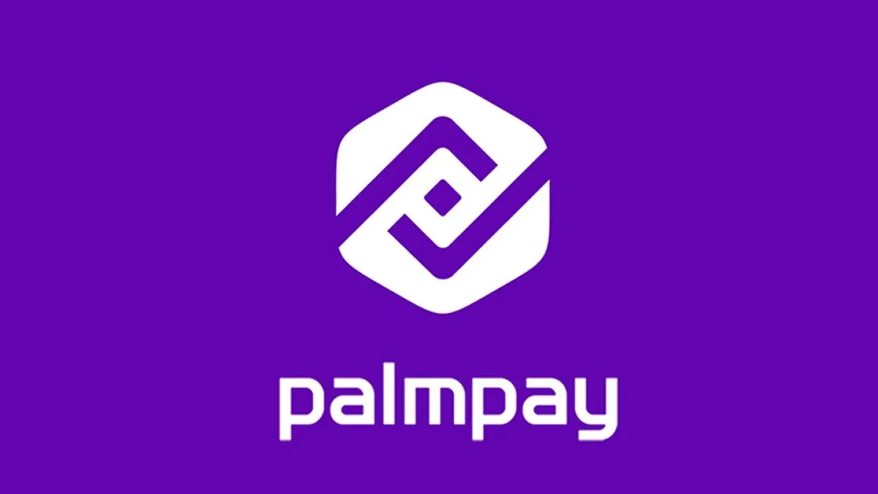 PalmPay loan